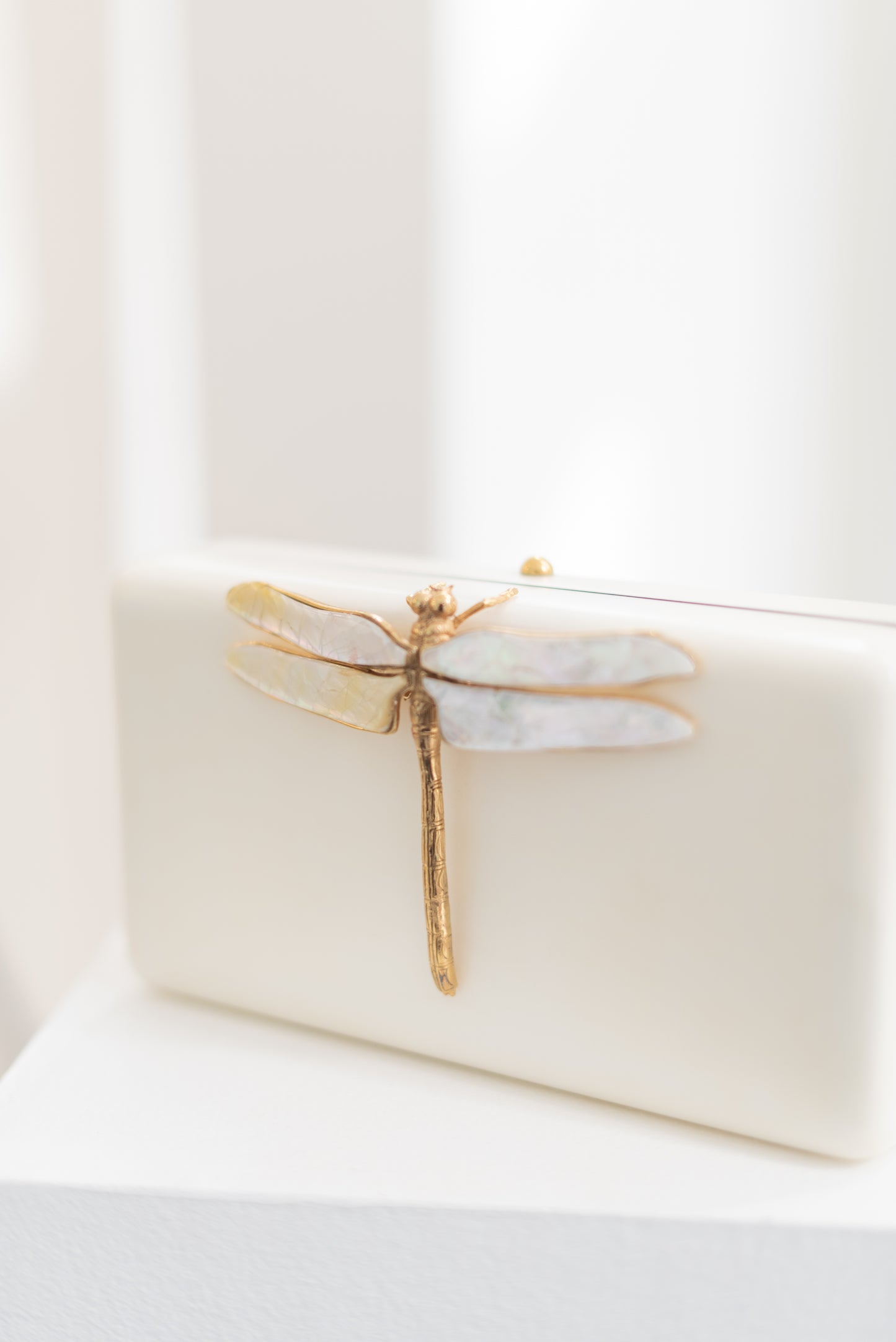 Dragonfly White Parchment
