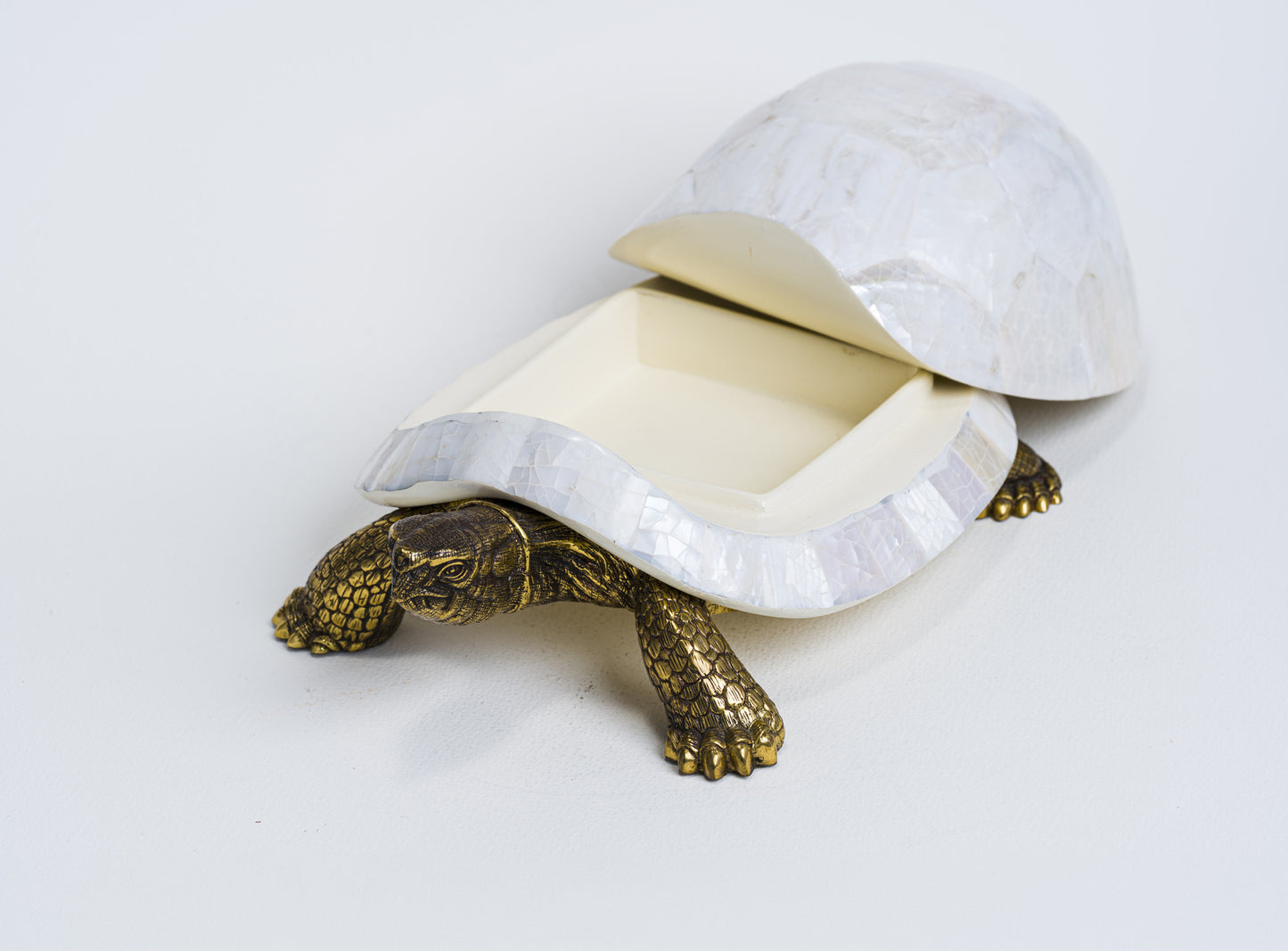 Sulcata Turtle in White Cabebe Shell