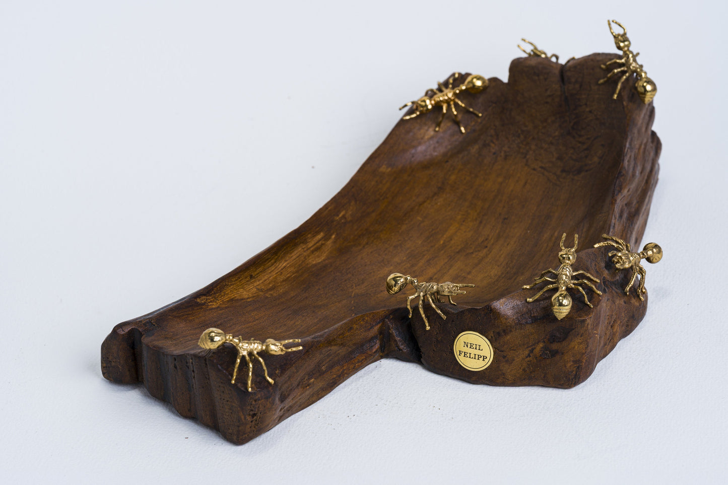 Ants on teak wood