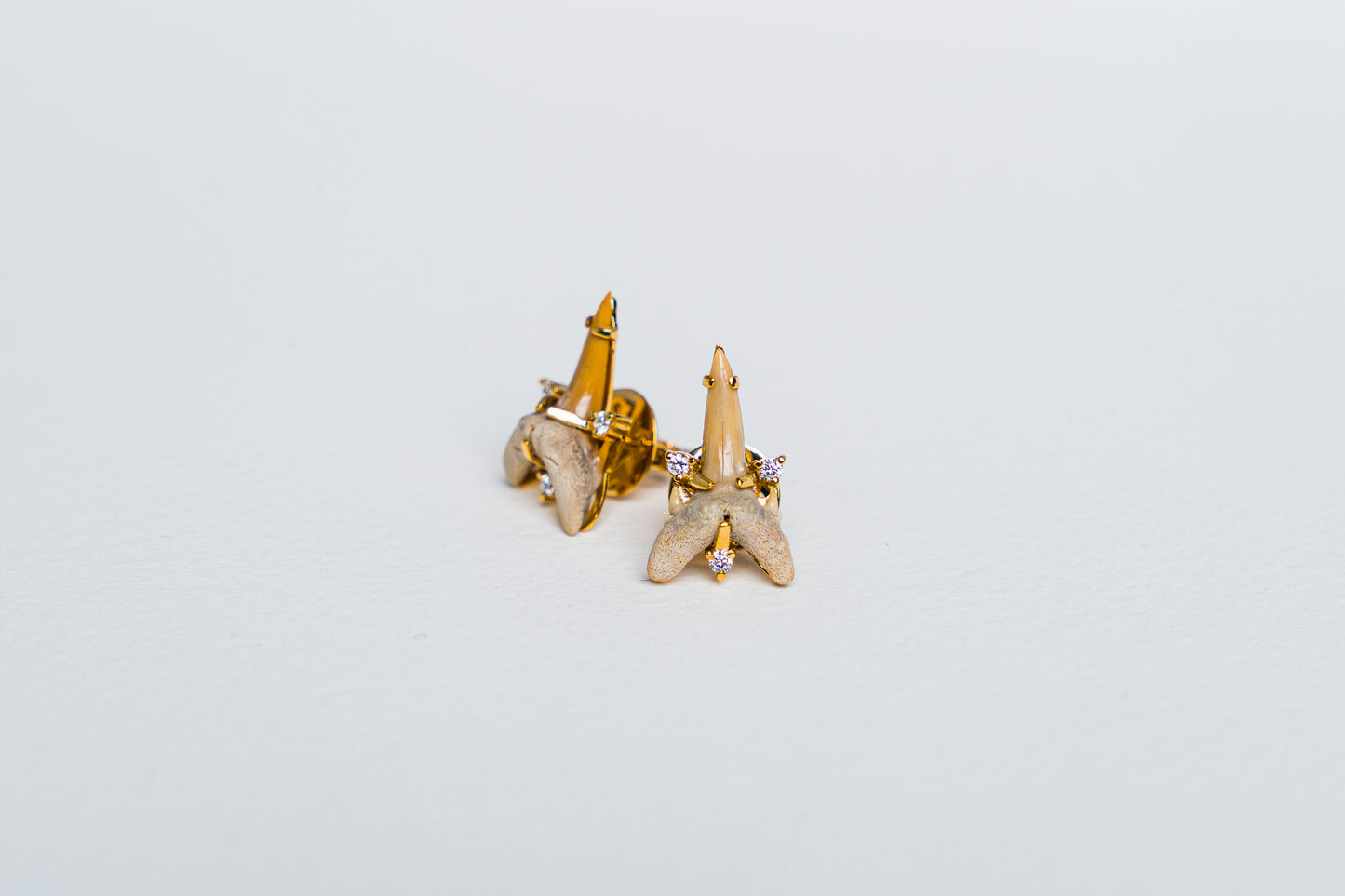 Fossilized Shark Tooth Earrings