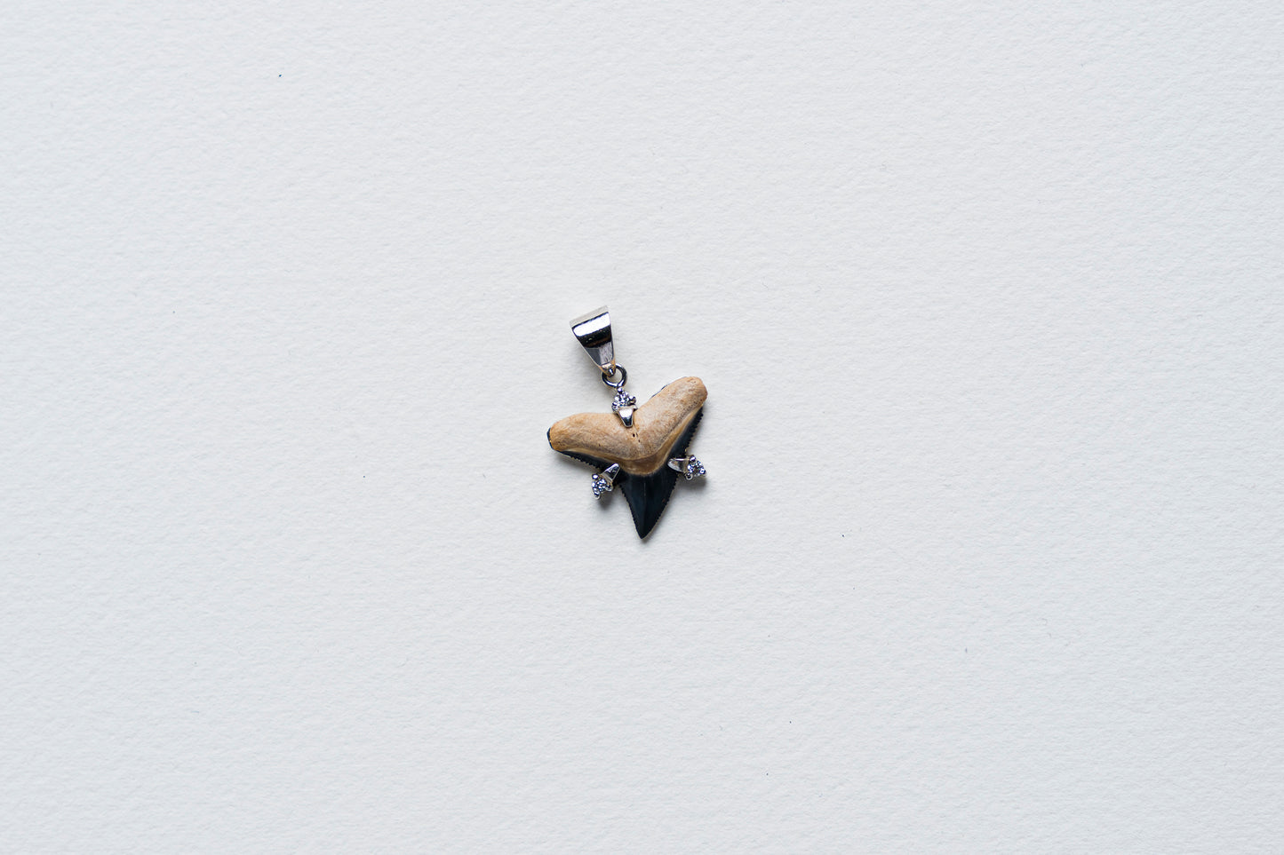 Shark Tooth Pendant Necklace