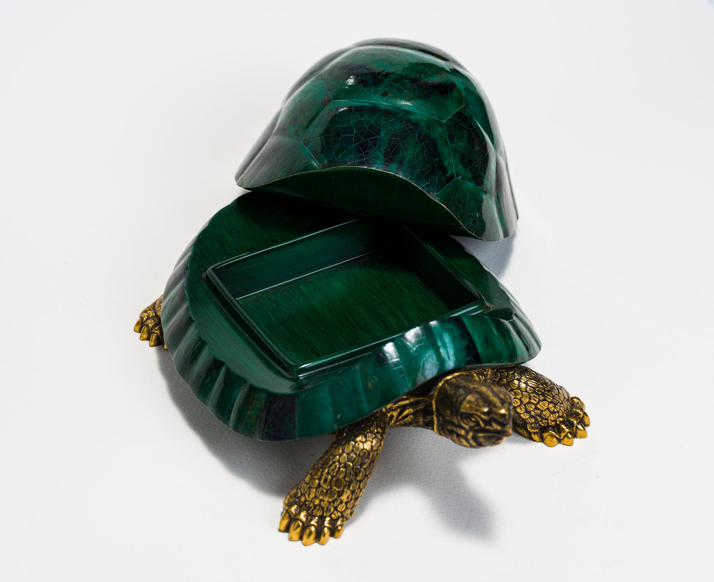 Sulcata Turtle in Green Penn Shell