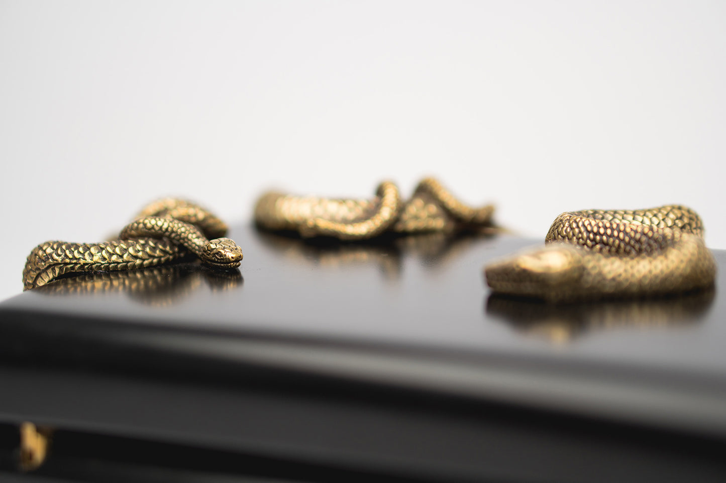 Medusa & Midas Minaudière in Black Parchment