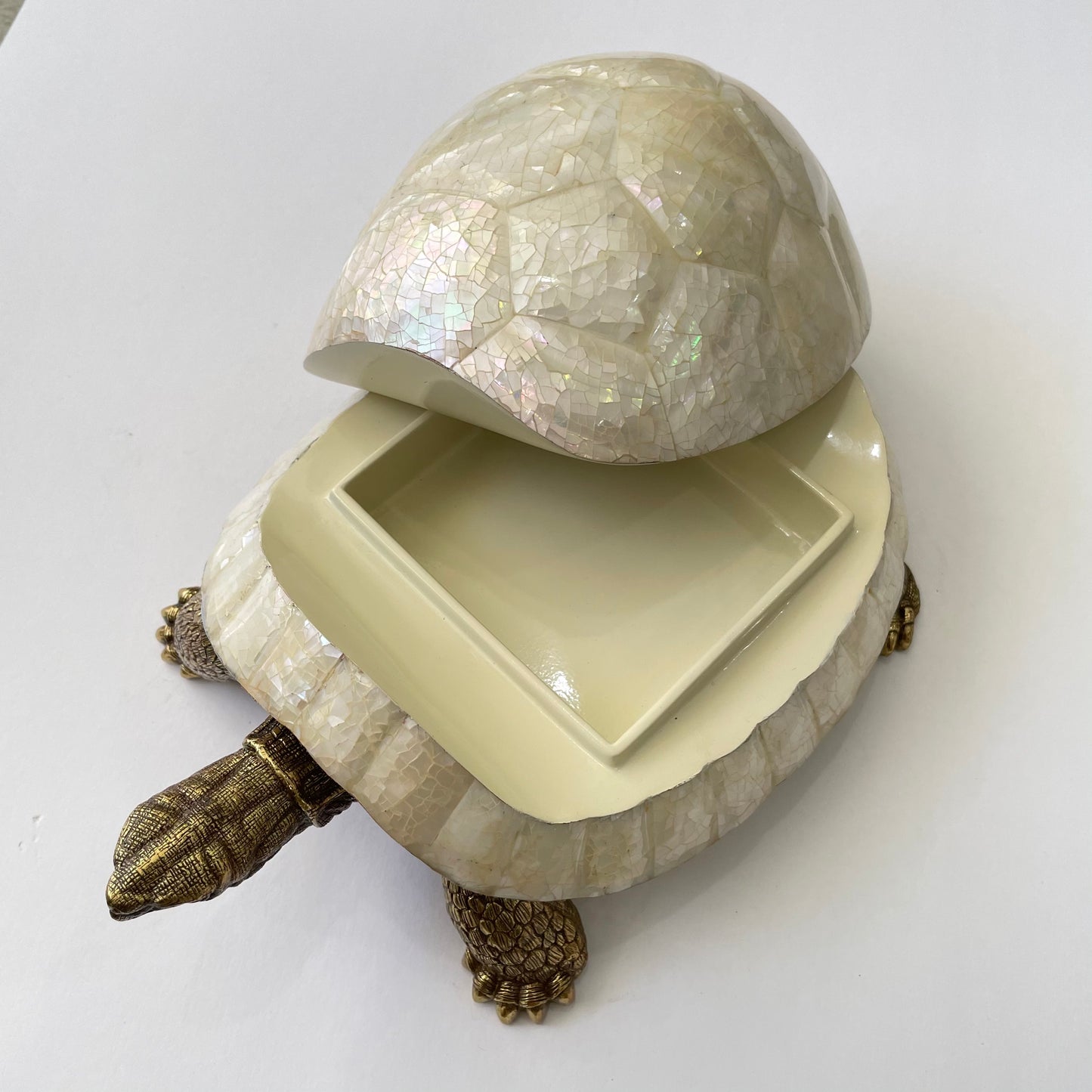 Sulcata Turtle in White Cabebe Shell