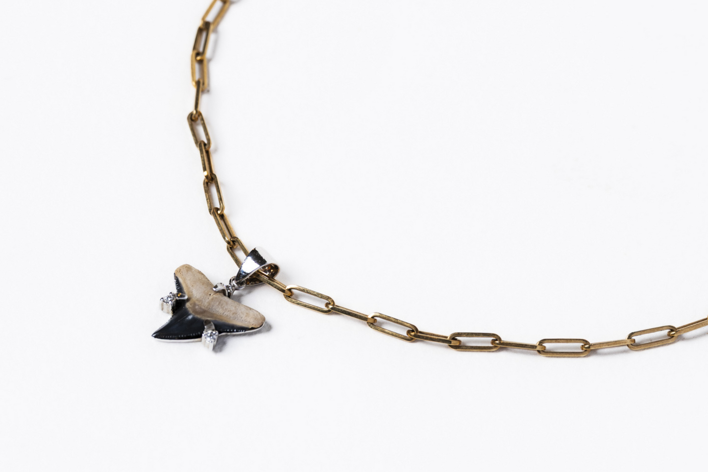 Shark Tooth Pendant Necklace