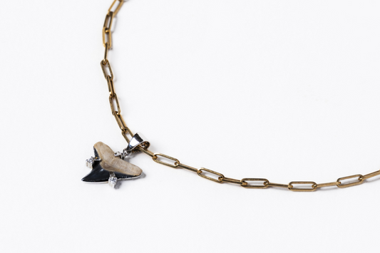 Shark Tooth Pendant Necklace