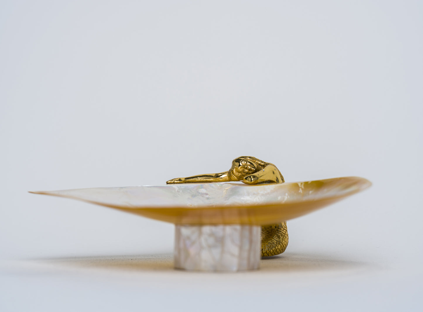 Siren MOP Dish
