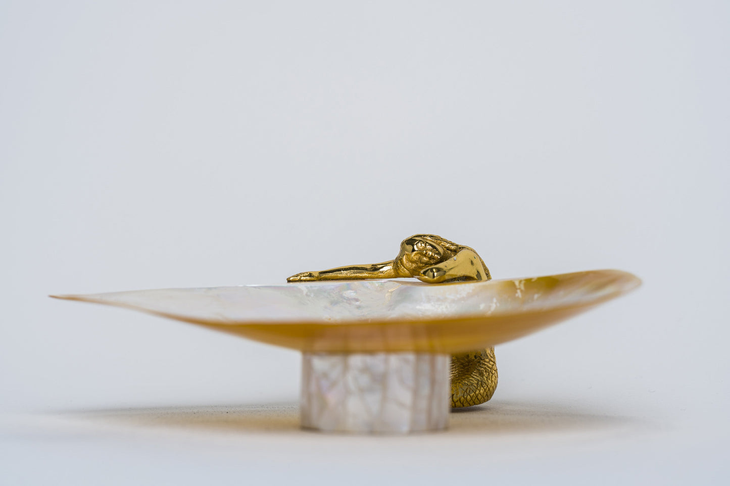 Siren Dish