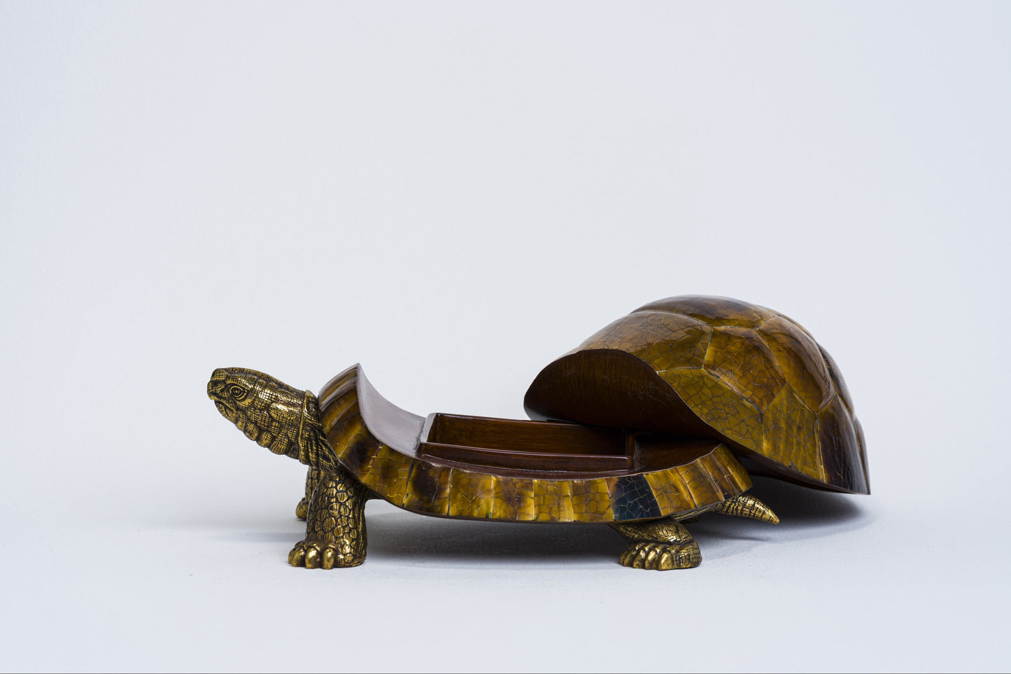 Sulcata Turtle in Brown Penn Shell