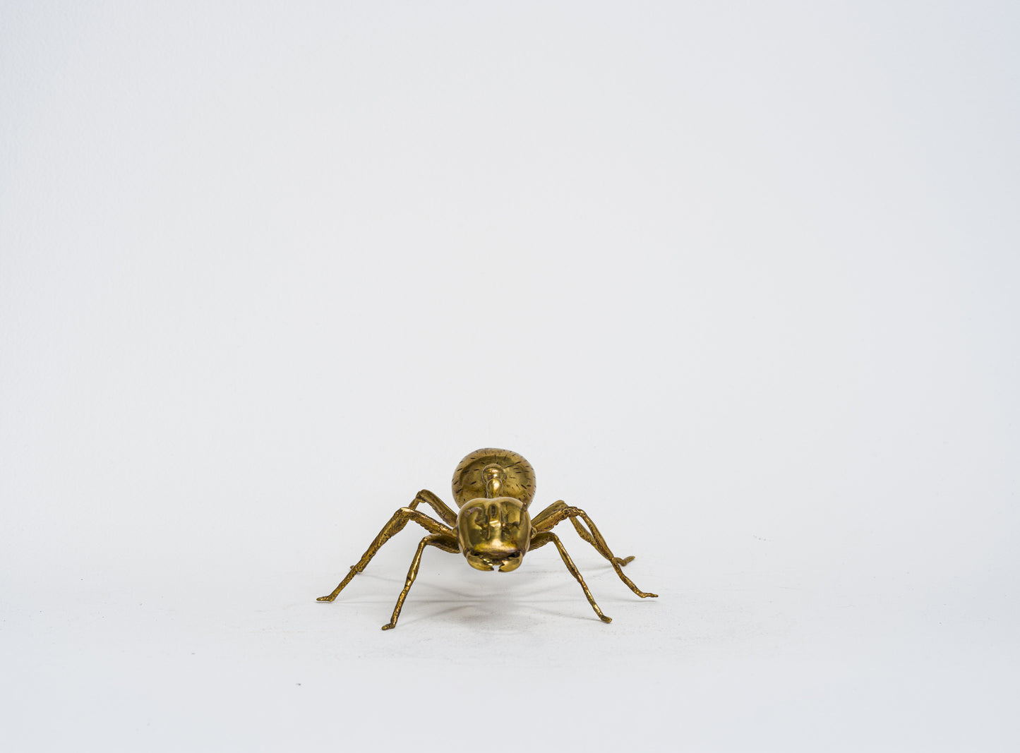 Herculean Brass Ant
