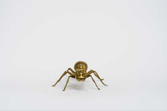 Herculean Brass Ant