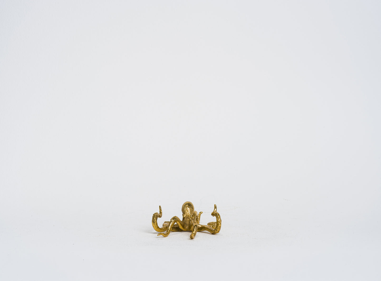 Octi Penholder