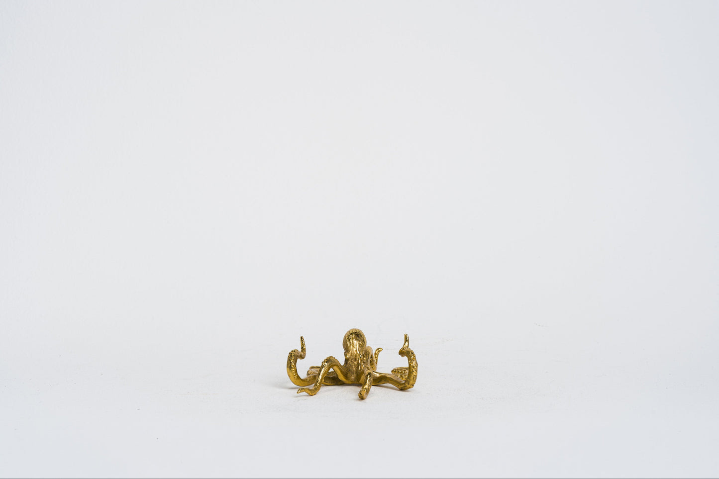 Octi Pen Holder