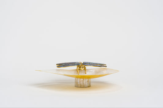 Dragonfly MOP dish in Paua Shell