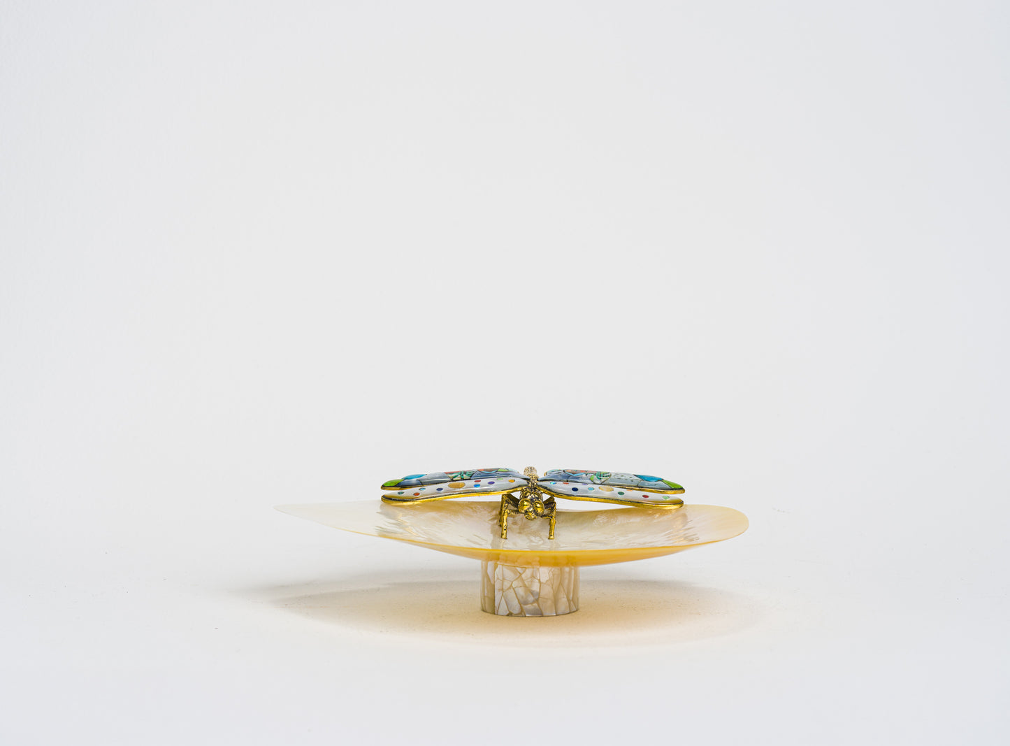 Dragonfly MOP dish in Paua Shell