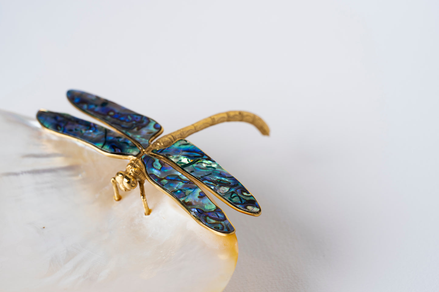 Dragonfly MOP dish in Paua Shell