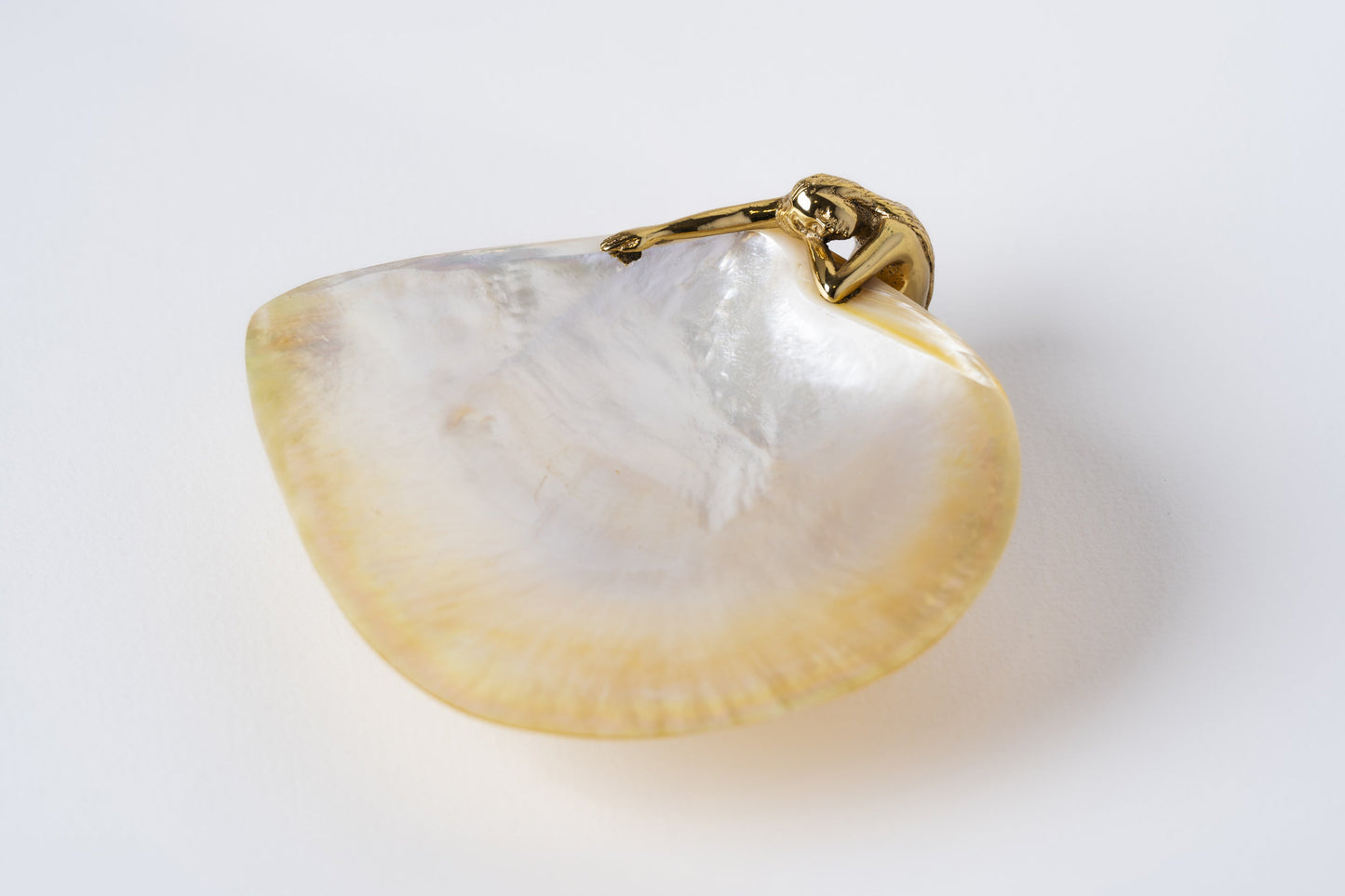 Siren MOP Dish