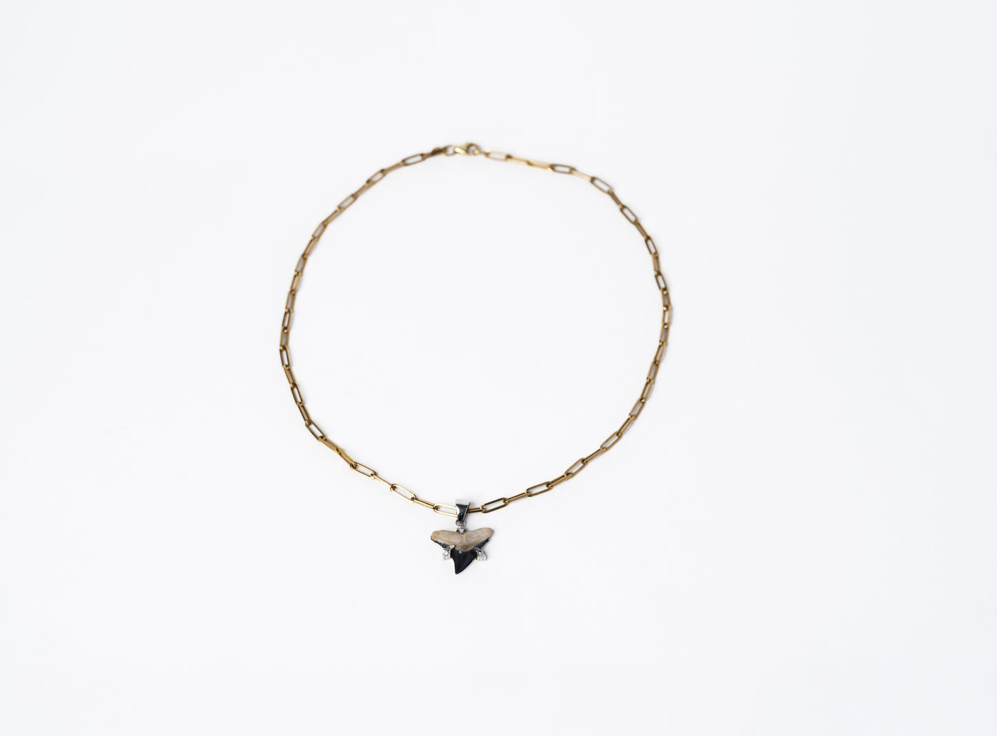 Shark Tooth Pendant Necklace