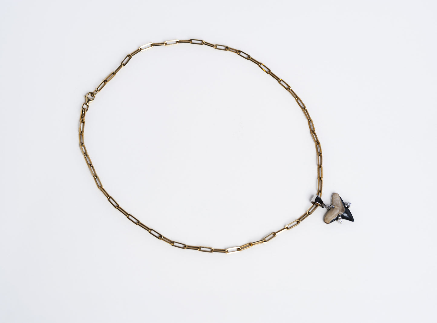 Shark Tooth Pendant Necklace