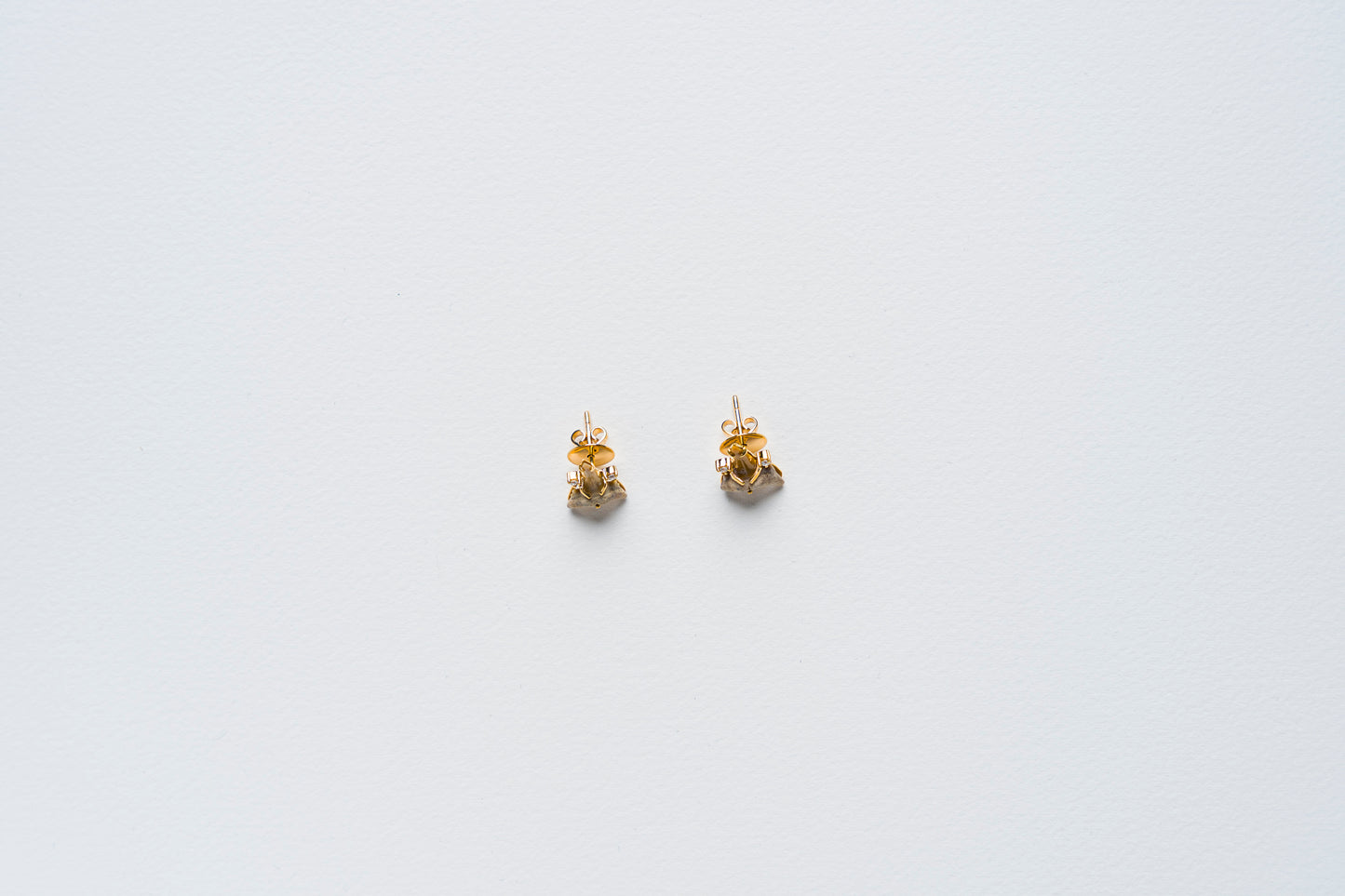 Fossilized Shark Tooth Earrings
