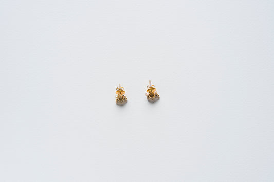 Fossilized Shark Tooth Earrings