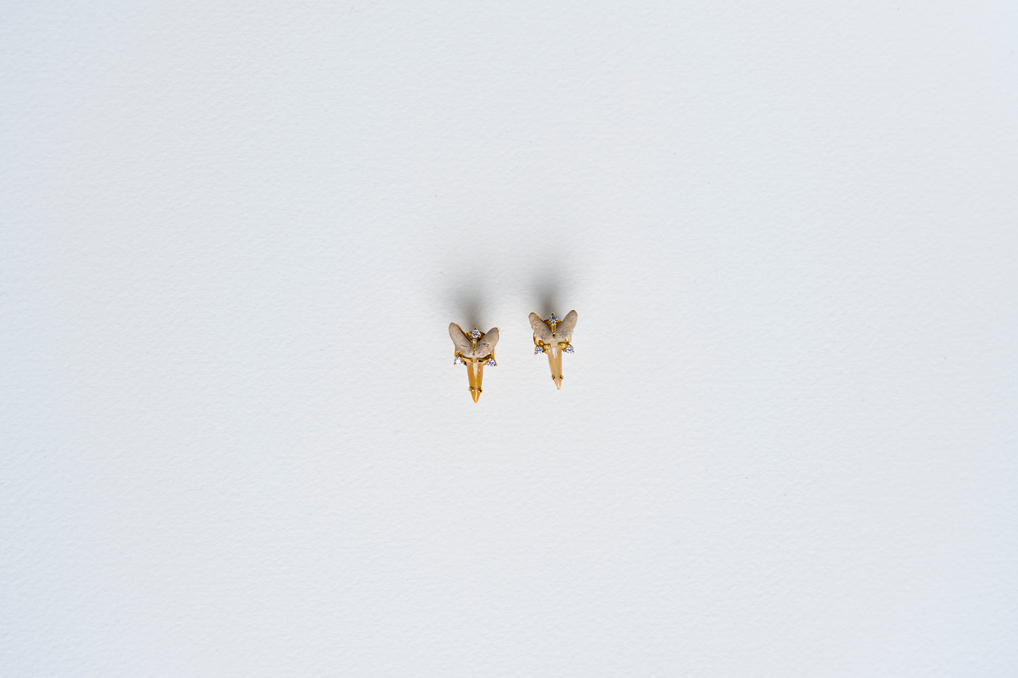 Fossilized Shark Tooth Earrings