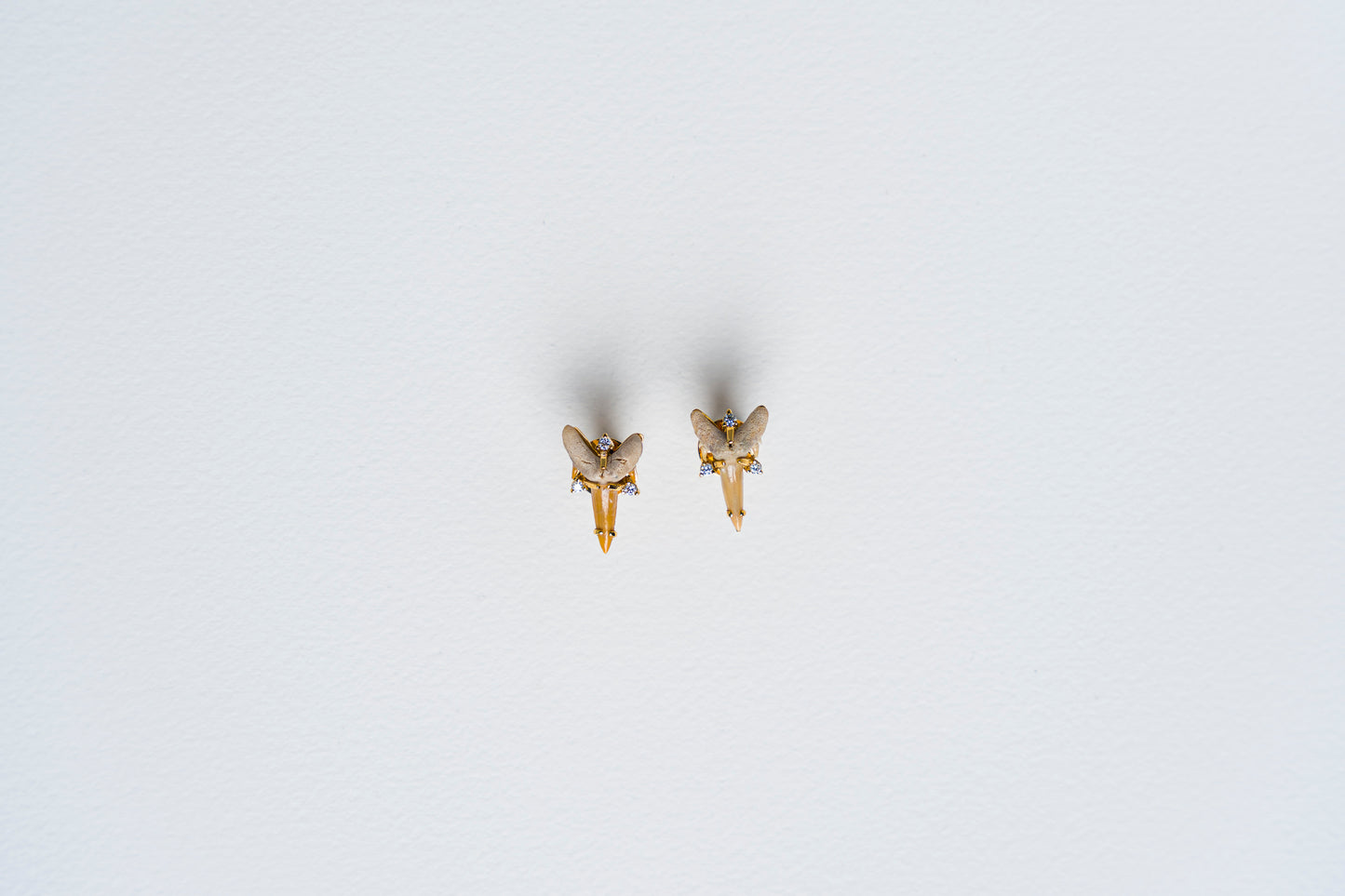 Fossilized Shark Tooth Earrings