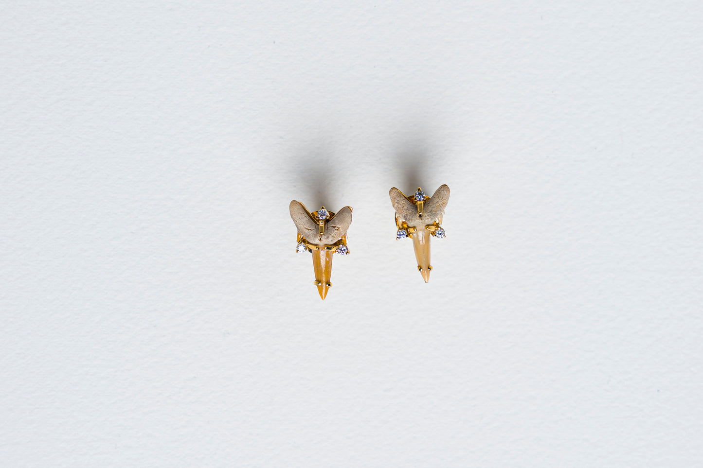 Fossilized Shark Tooth Earrings