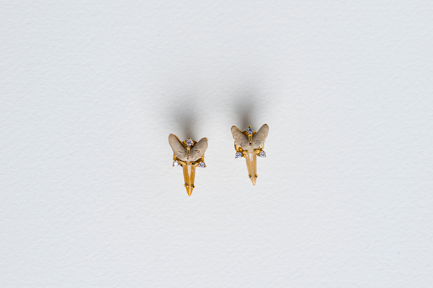 Fossilized Shark Tooth Earrings