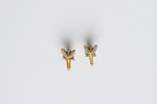 Fossilized Shark Tooth Earrings