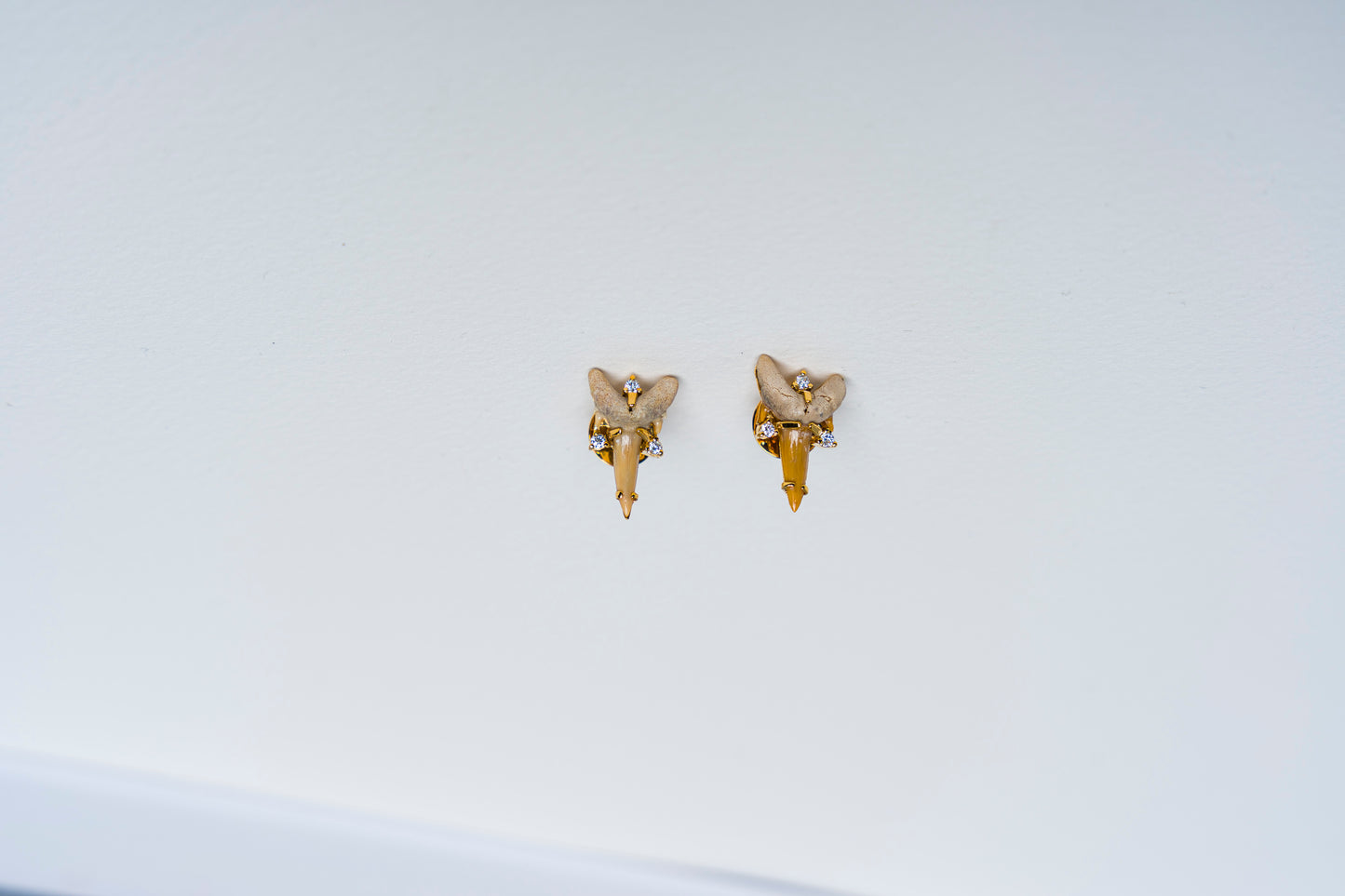 Fossilized Shark Tooth Earrings