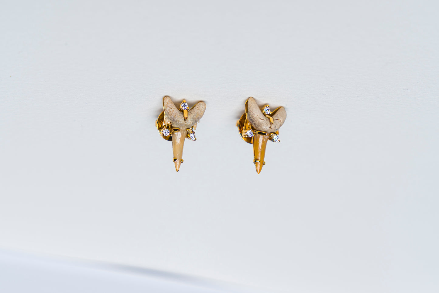 Fossilized Shark Tooth Earrings