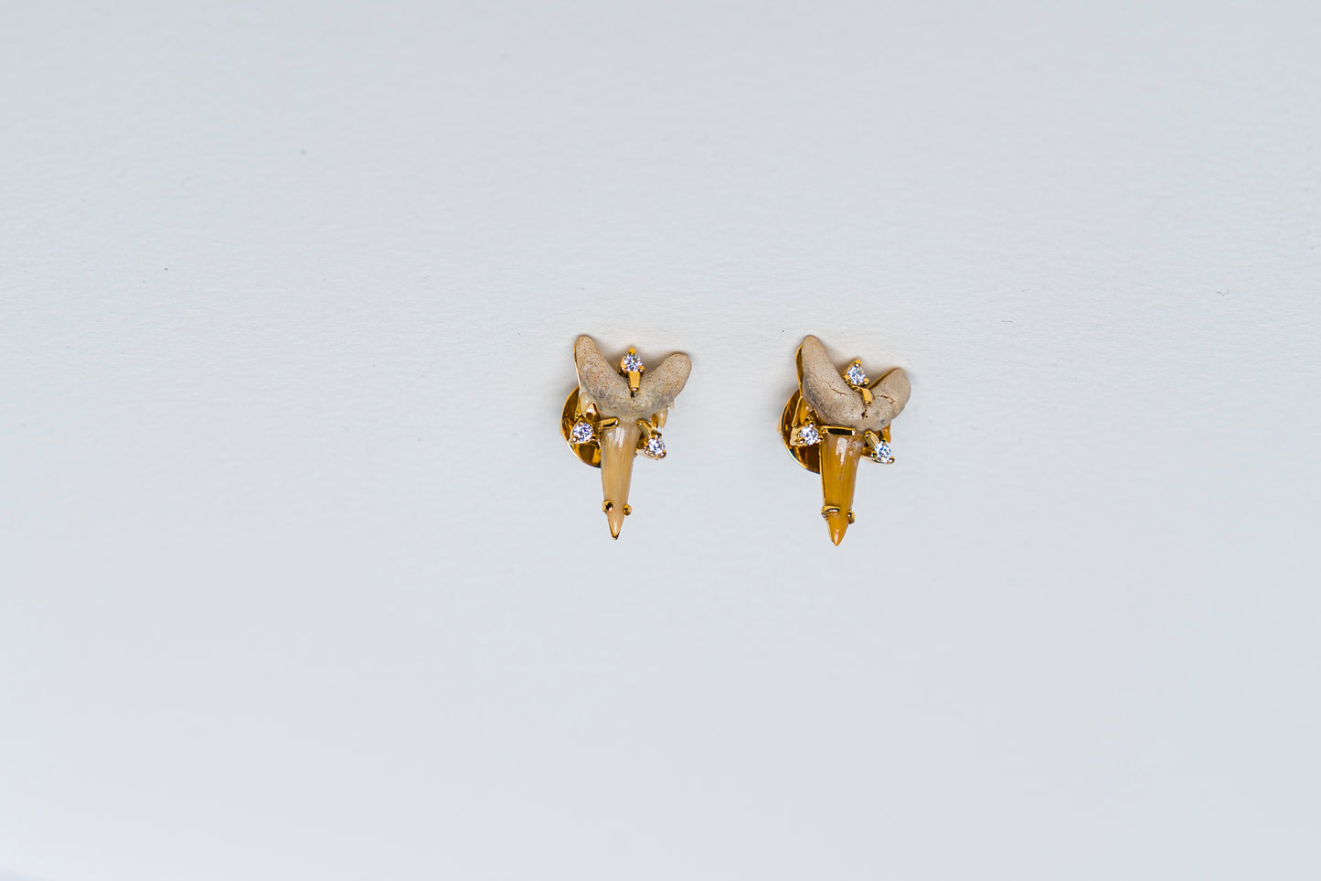 Fossilized Shark Tooth Earrings