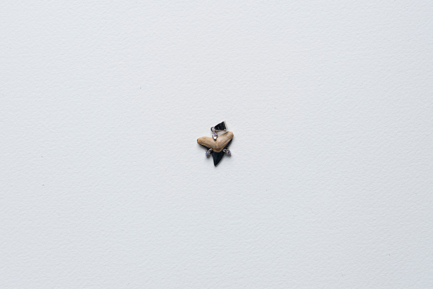 Shark Tooth Pendant Necklace