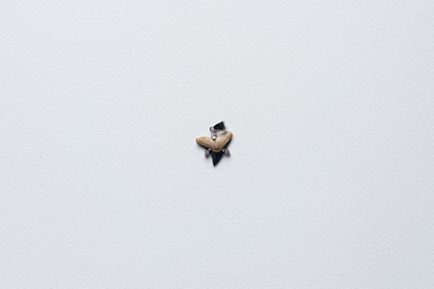 Shark Tooth Pendant Necklace