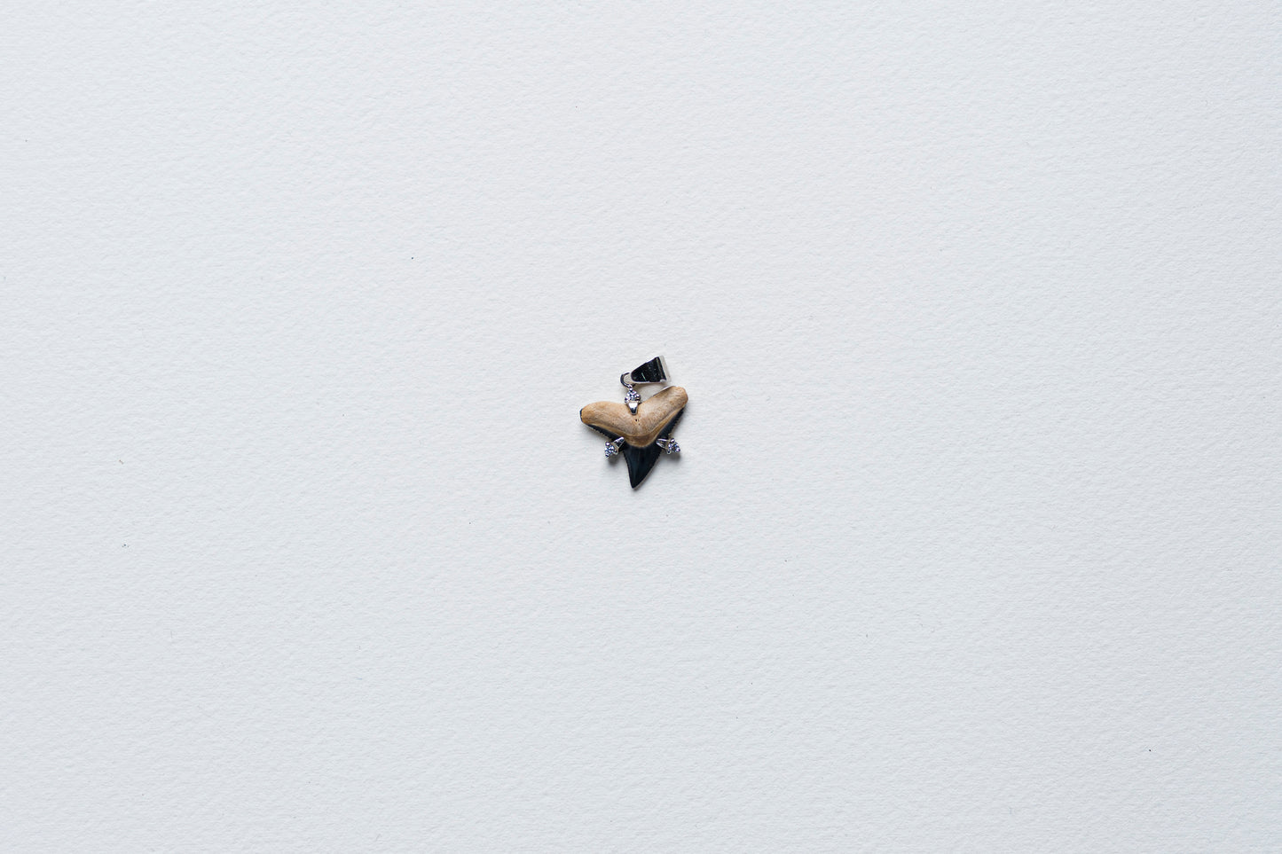 Shark Tooth Pendant Necklace