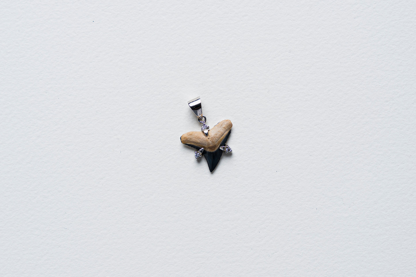Shark Tooth Pendant Necklace