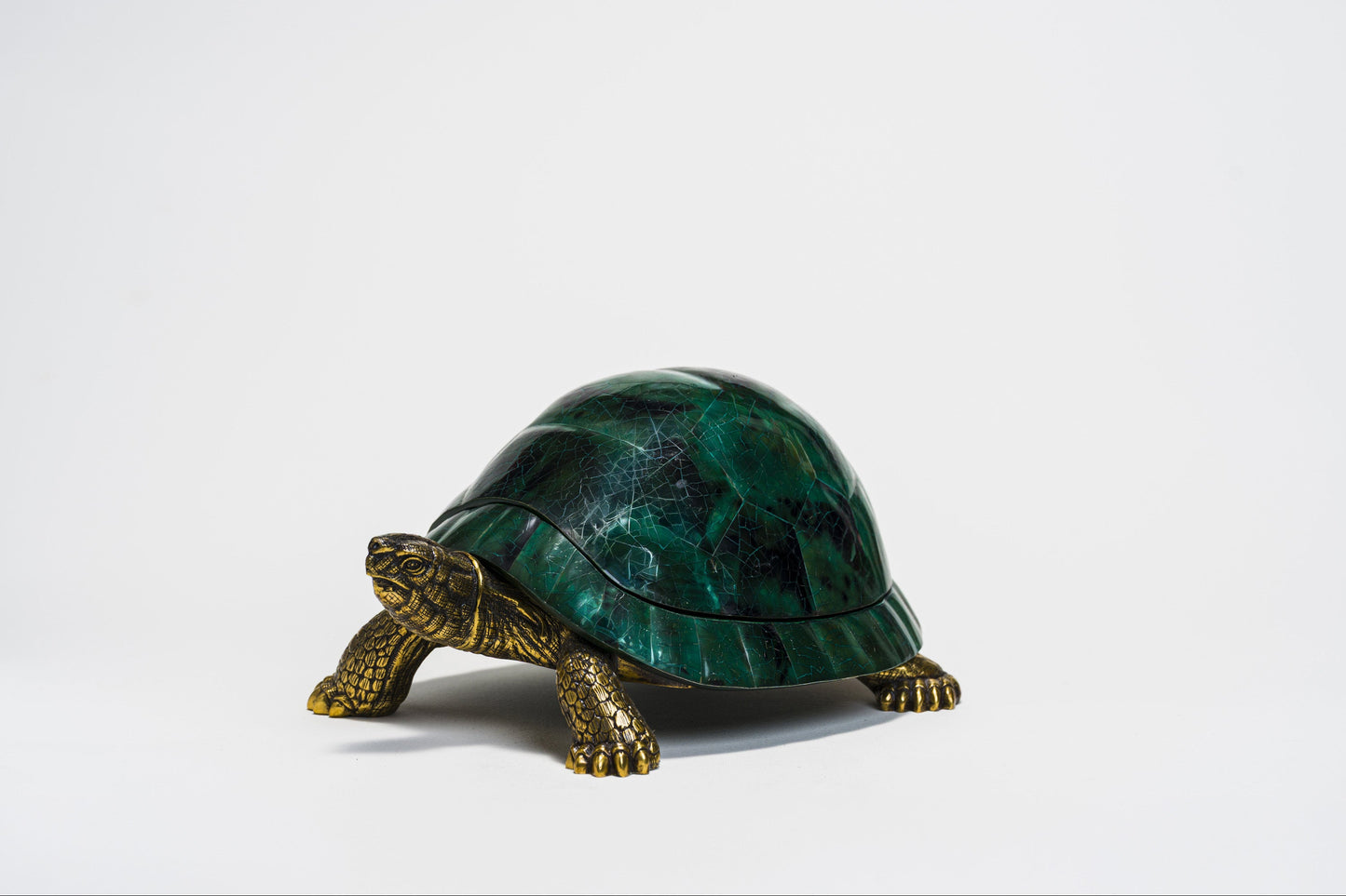 Sulcata Turtle in Emerald Green Penn Shell