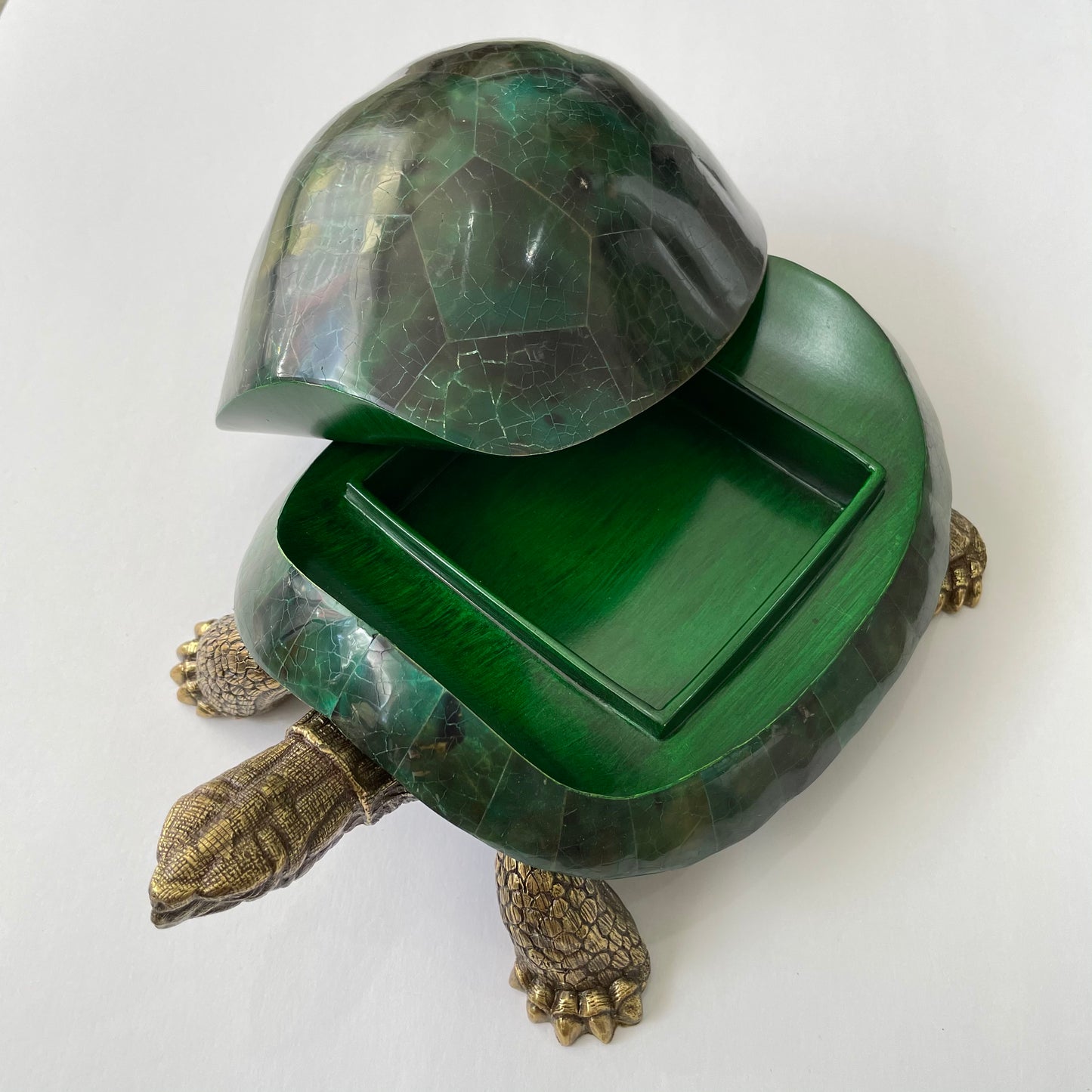 Sulcata Turtle in Emerald Green Penn Shell